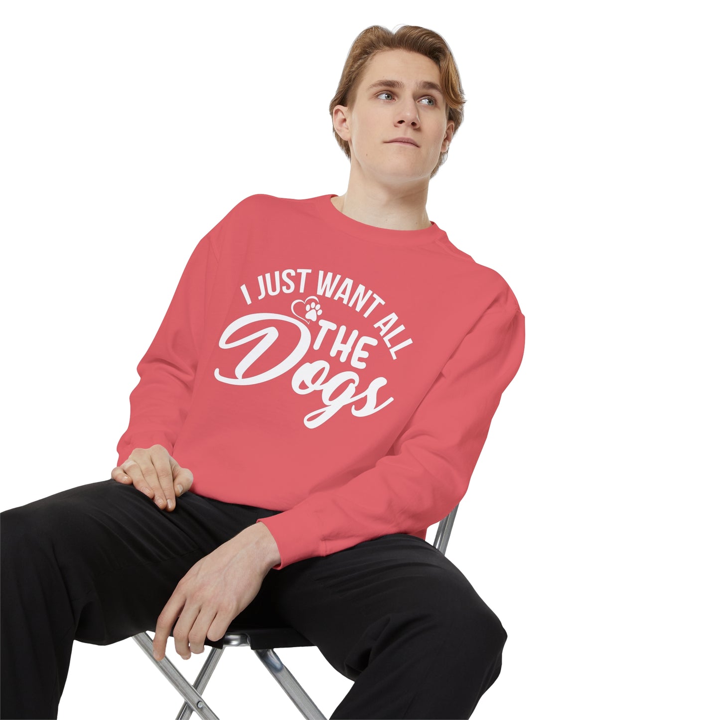 I Just Want All The Dogs Sweatshirt