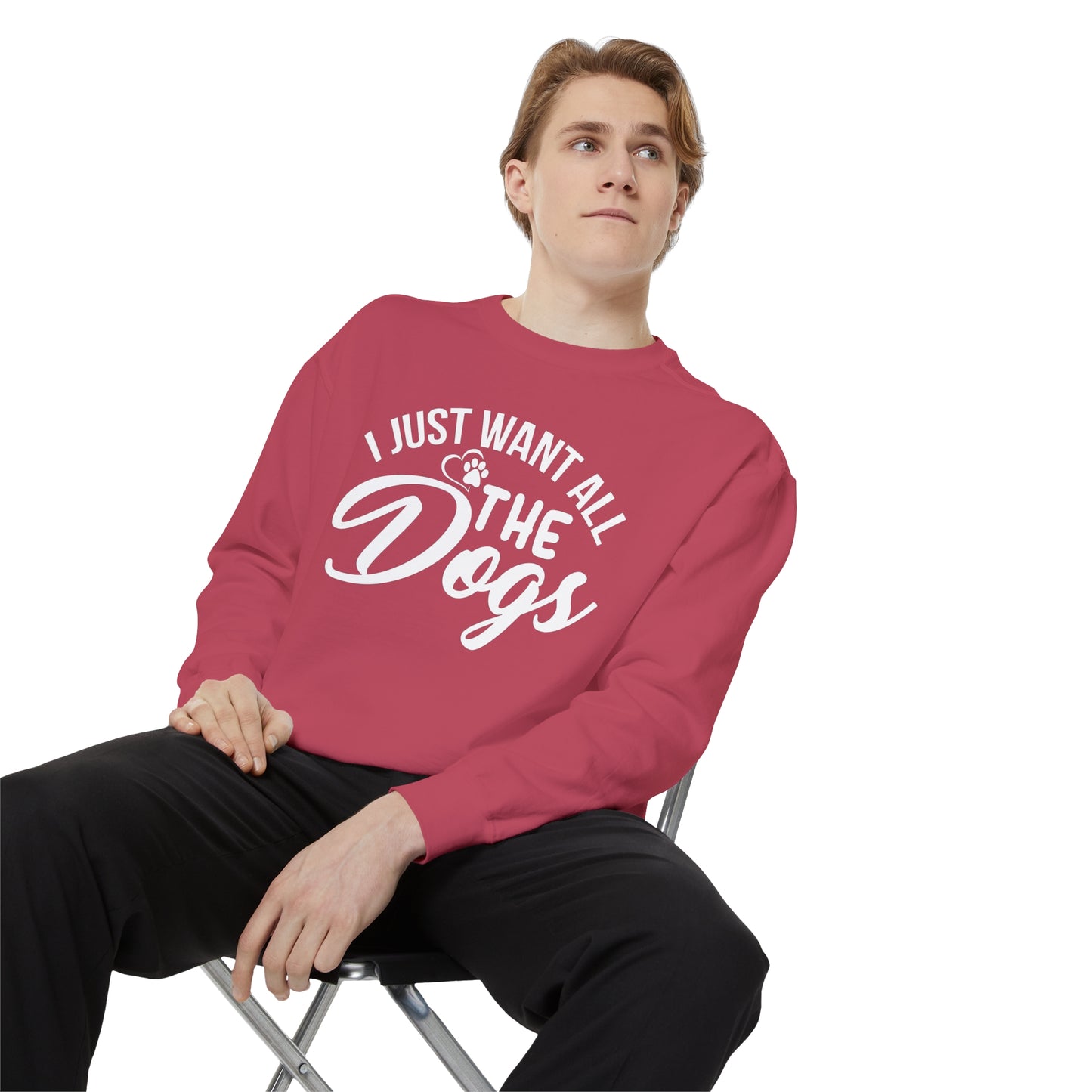 I Just Want All The Dogs Sweatshirt